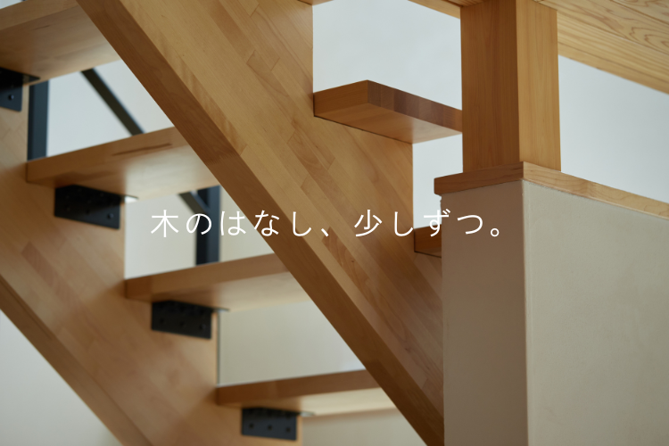 木のはなし、今日から少しずつ。